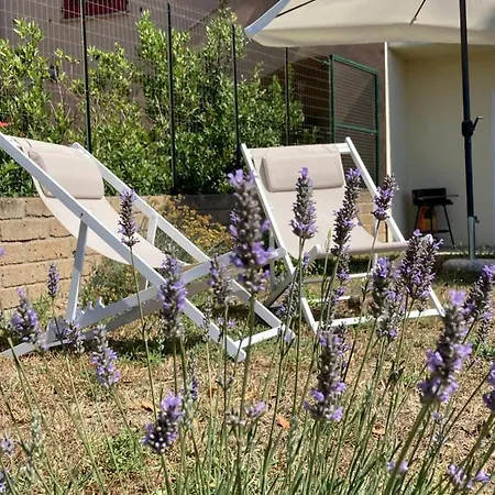 Holiday home Podere La Fenice