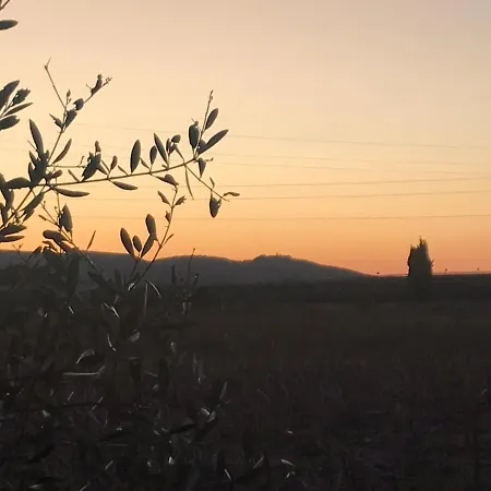 Podere La Fenice Holiday home
